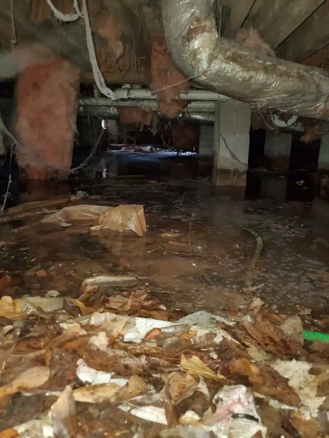 Crawl space flood assessment for Leak Detection & Repair in Sammamish