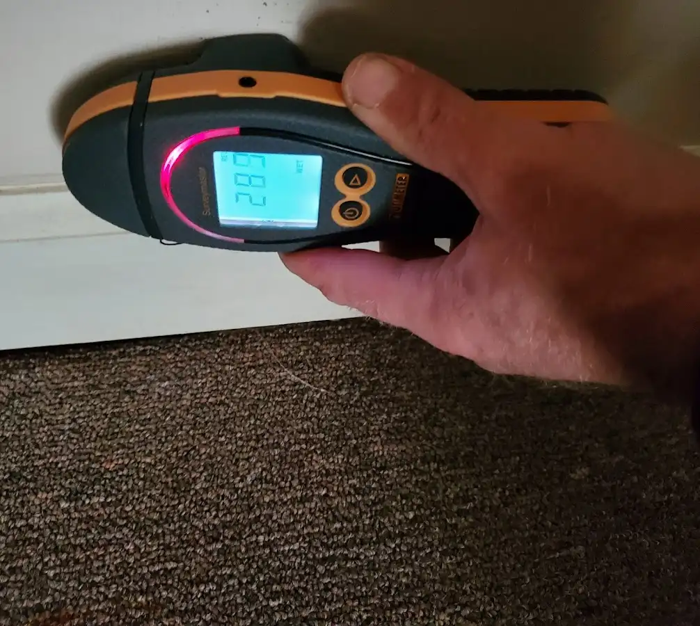 Moisture detection at baseboard during Mold Inspection & Testing in Sammamish